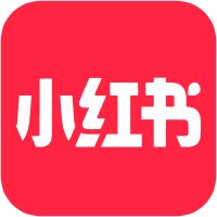 TikTok Icon